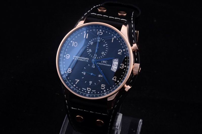 IWC watch man-313